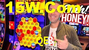 Premium Interface QE8